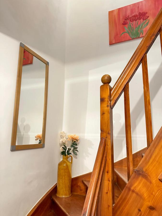 Green Paradise & Cozy Retreat Salzburg With Free Parking Exterior photo